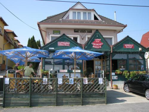 Aranyszarvas-Goldener Hirsch Pension Zalakaros Pokój zdjęcie